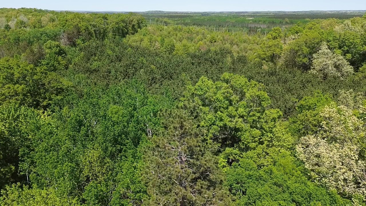 343 X 5th Avenue Shell Lake, WI 54871 - Photo 6 of 16