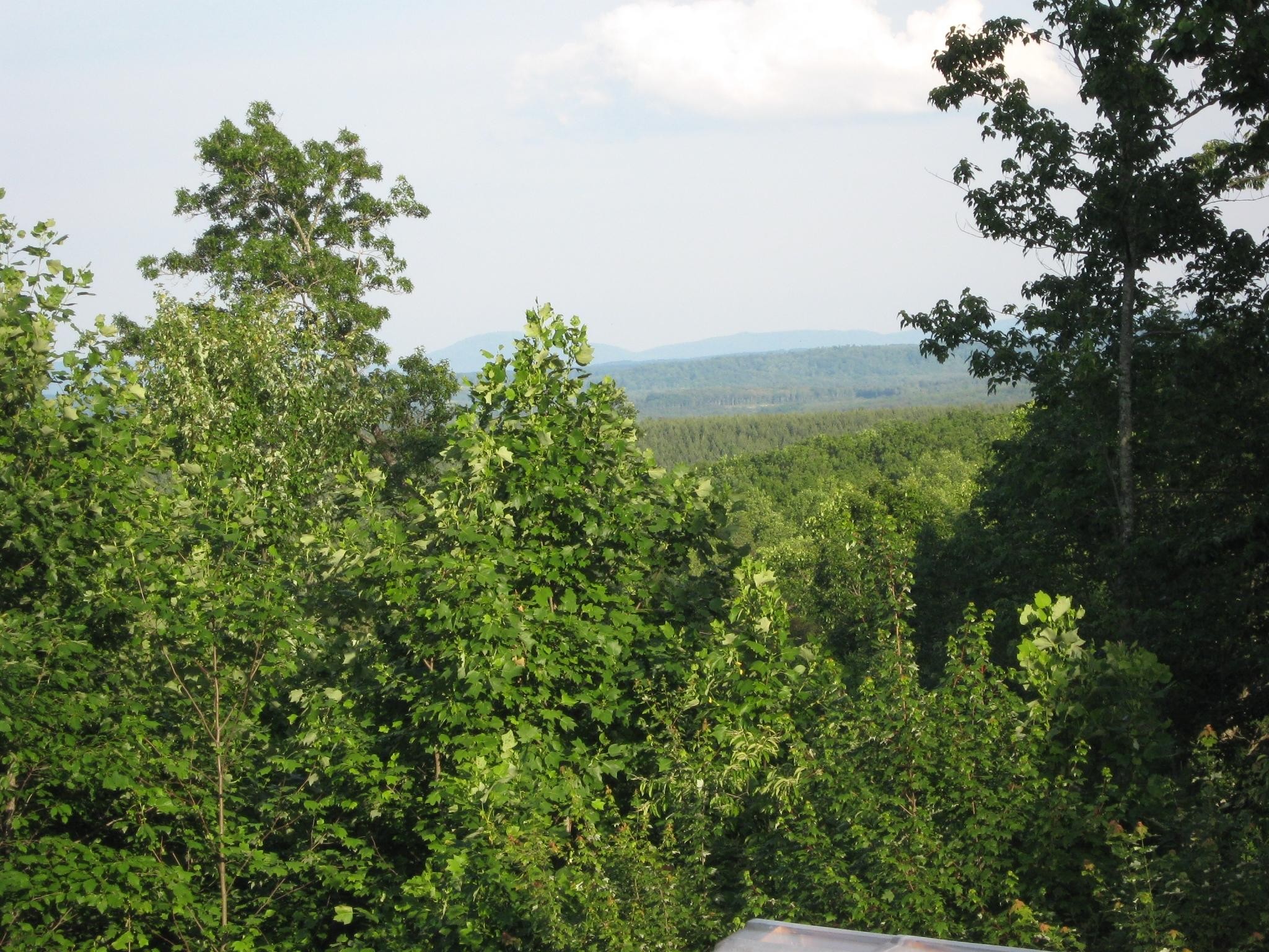 825 Red Road Sparta, TN 38583 - Photo 5 of 35 Gallery Image 5