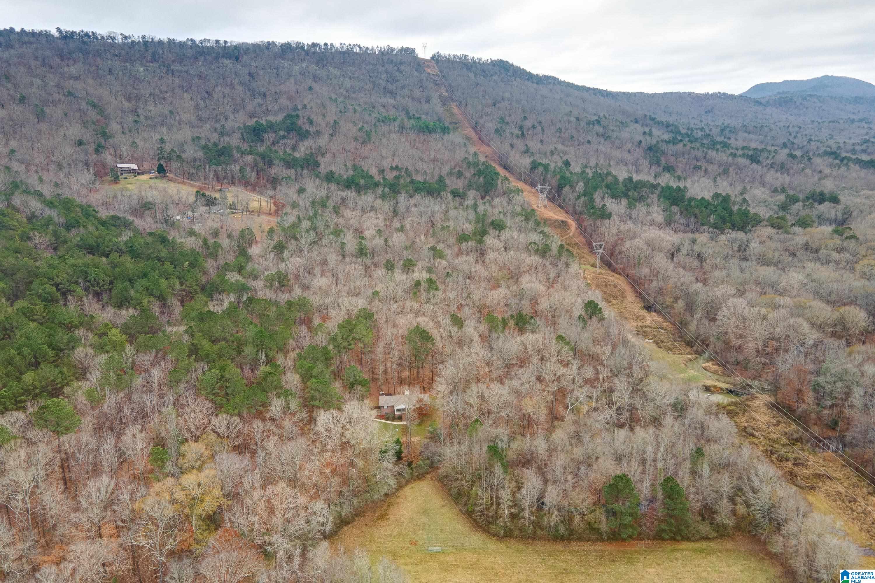 384 Moss Rock Trail Sterrett, AL 35147 - Photo 7 of 47