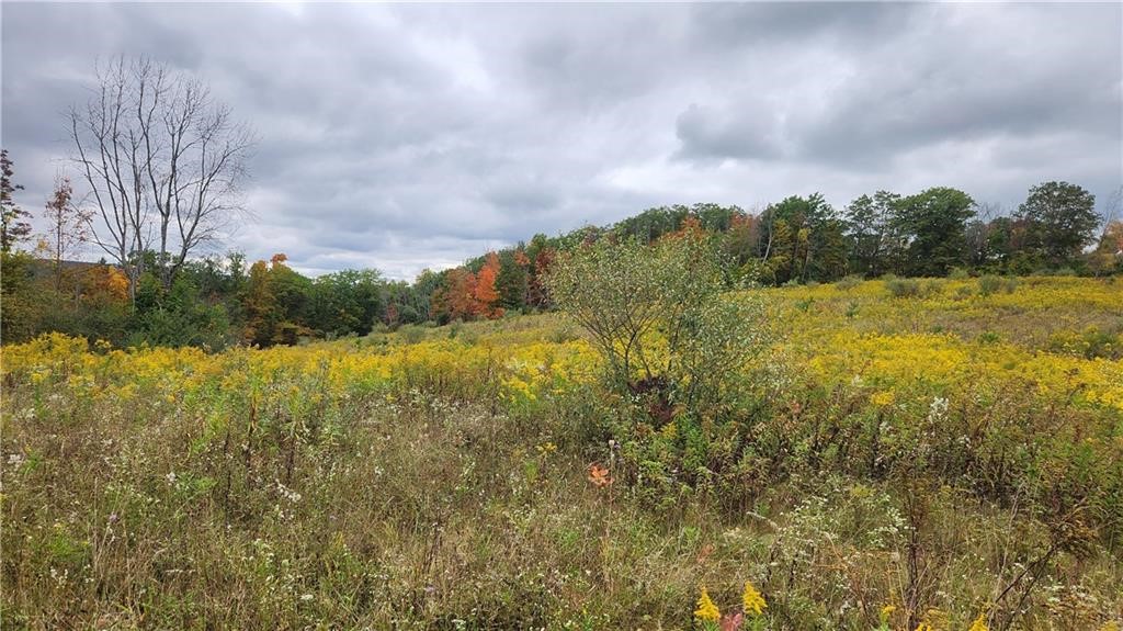 Hanyon Road Cameron, NY 14819 - Photo 2 of 34 Gallery Image 2