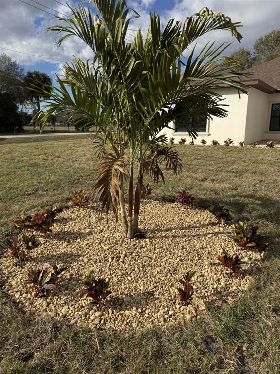 2383 Southwest 2nd Court Okeechobee, FL 34974 - Photo 11 of 48 a view of a yard with plants and large trees