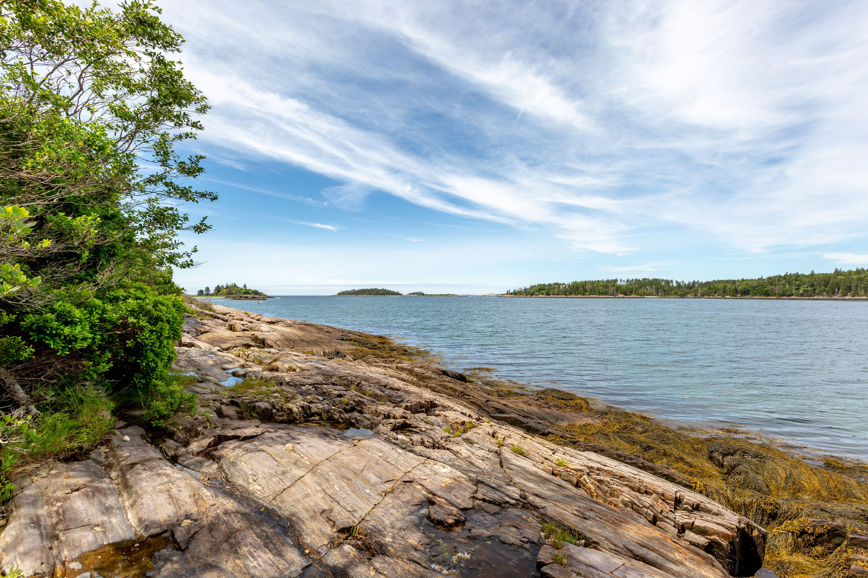 42 South Bay Road Georgetown, ME 04548 - Photo 12 of 48 South Bay_Moyer_15