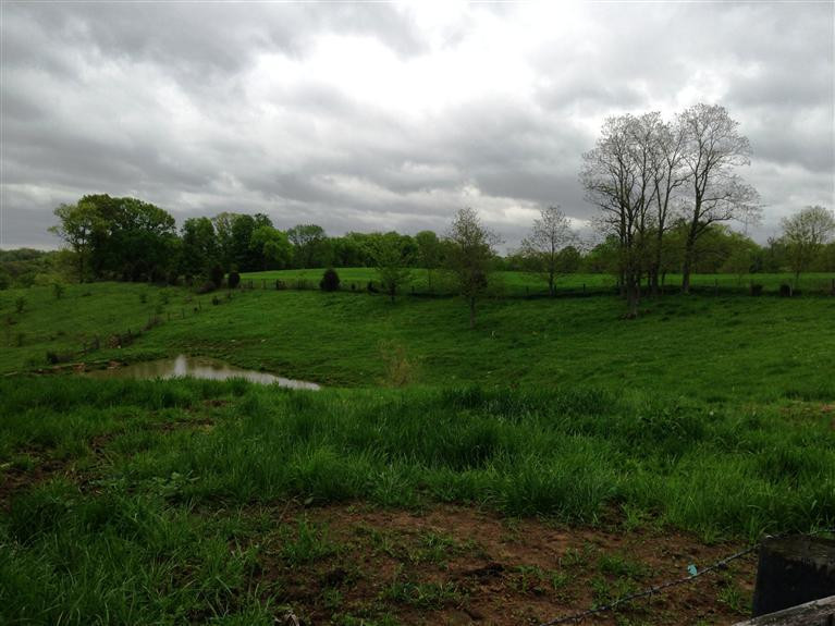 0 Sugar Creek Road Dry Ridge, KY 41035 - Photo 5 of 14