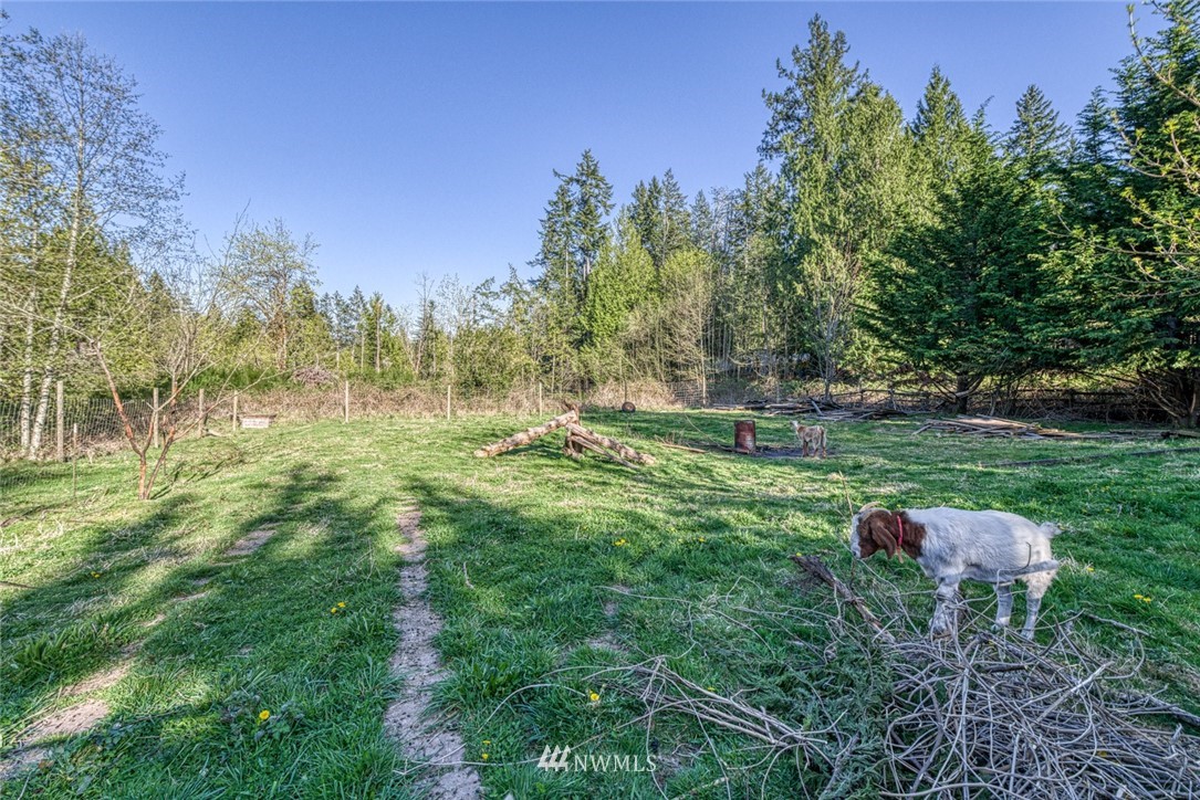 621 Cornwall Road Northwest Lakebay, WA 98349 - Photo 35 of 36