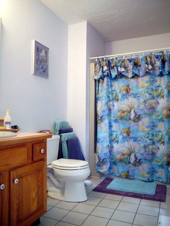 40 Woodlot Road Amherst, MA 01002 - Photo 17 of 26 Gallery Image 17