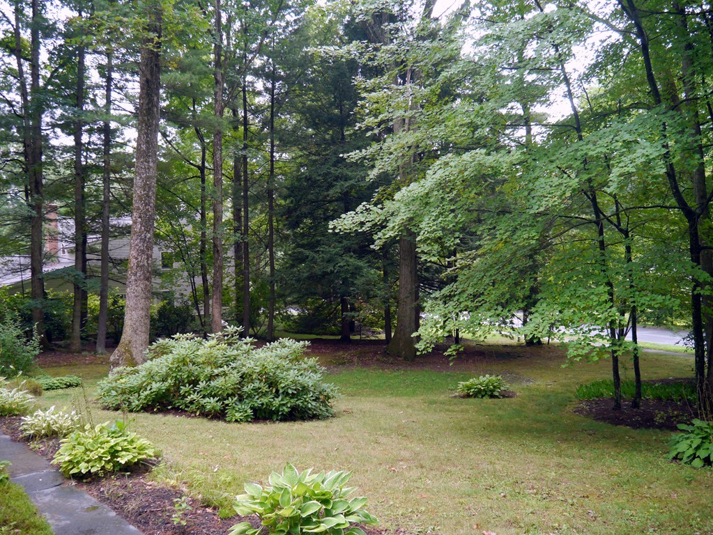 40 Woodlot Road Amherst, MA 01002 - Photo 24 of 26 Gallery Image 24