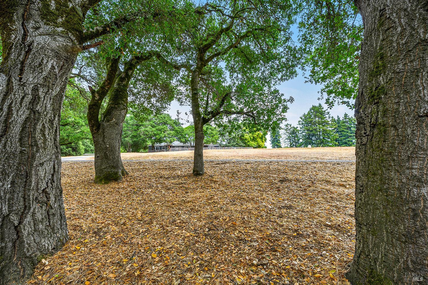 6264 Fredricks Road Sebastopol, CA 95472 - Photo 2 of 49