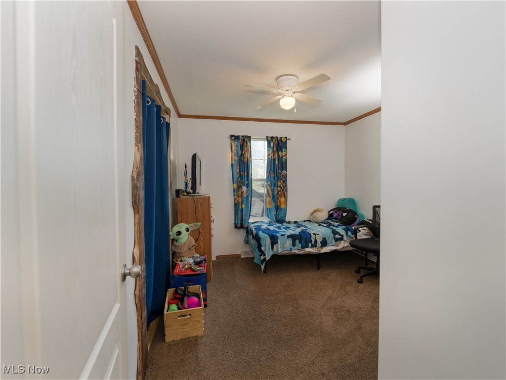 4391 Sandy Lake Road Ravenna, OH 44266 - Photo 27 of 30 Carpeted bedroom with crown molding and a ceiling fan