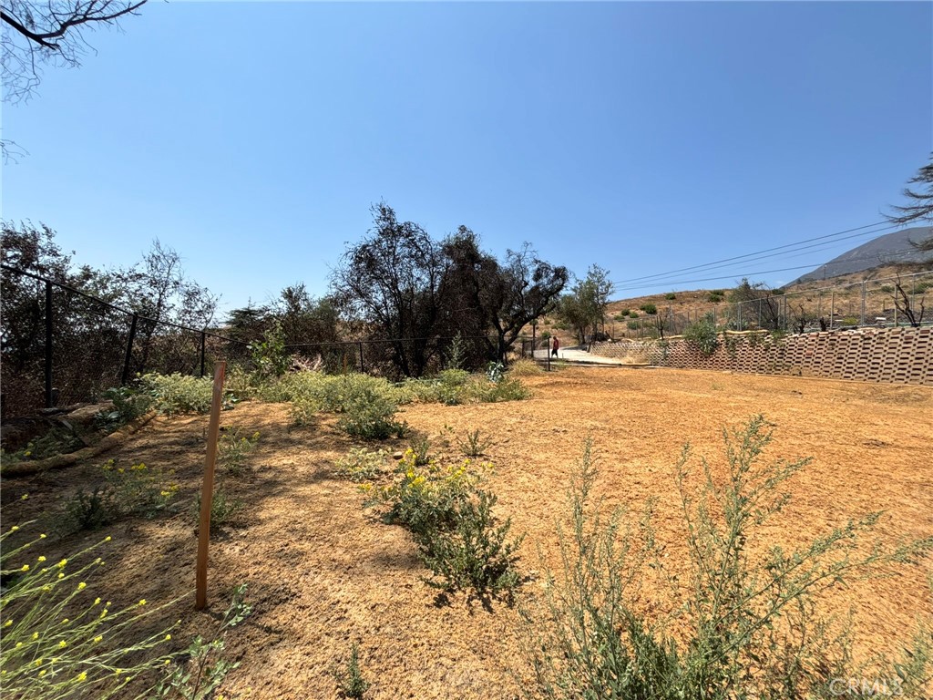 3696 Chaney Trail Altadena, CA 91001 - Photo 5 of 19 a view of yard covered with snow