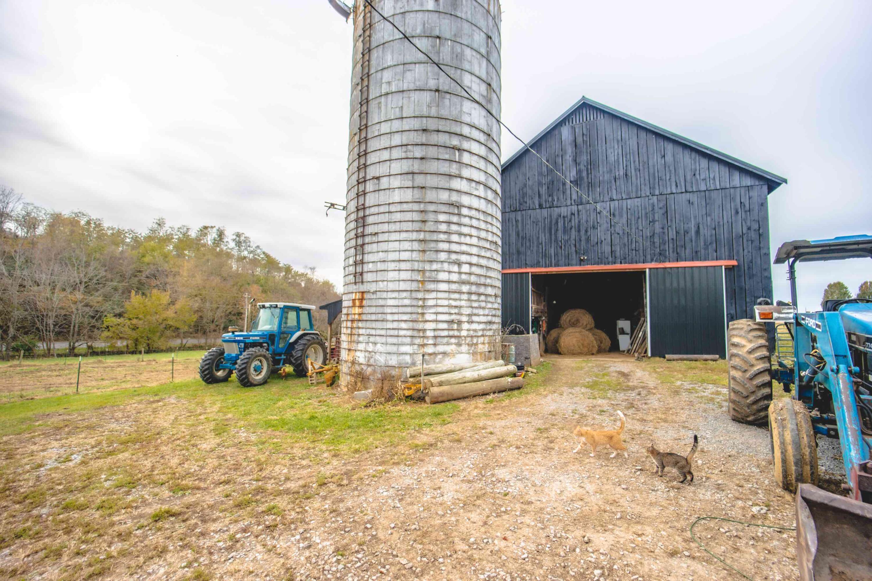 2363 Fall Lick Road Lancaster, KY 40444 - Photo 65 of 79 0S1A9118