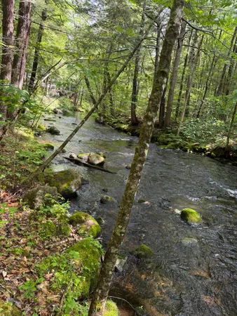 $139,900 | Lot 44 Rolfe Road, Harrison, ME 04040
