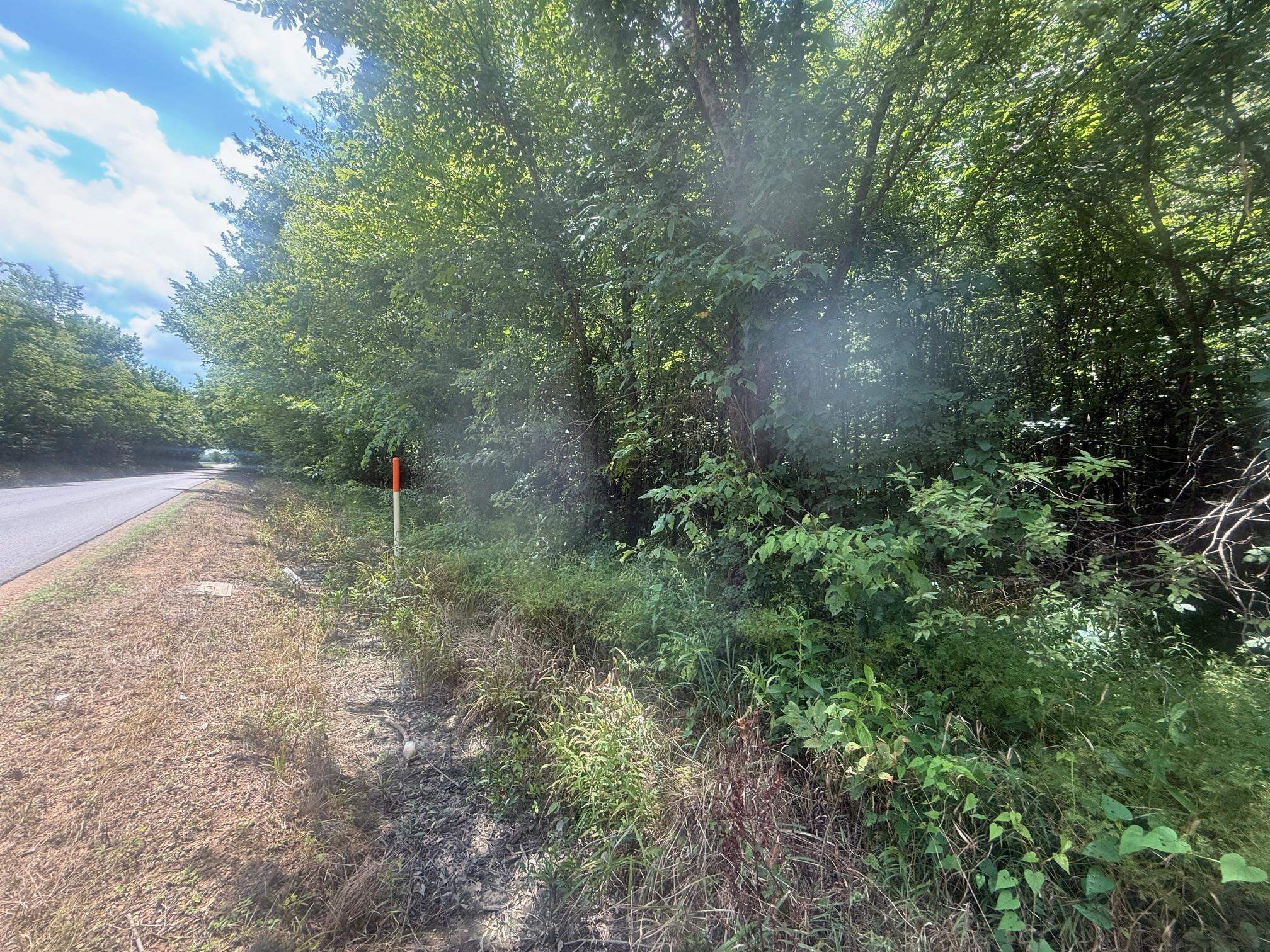 5 Coffee Landing Road Adamsville, TN 38310 - Photo 8 of 15 View of asphalt road