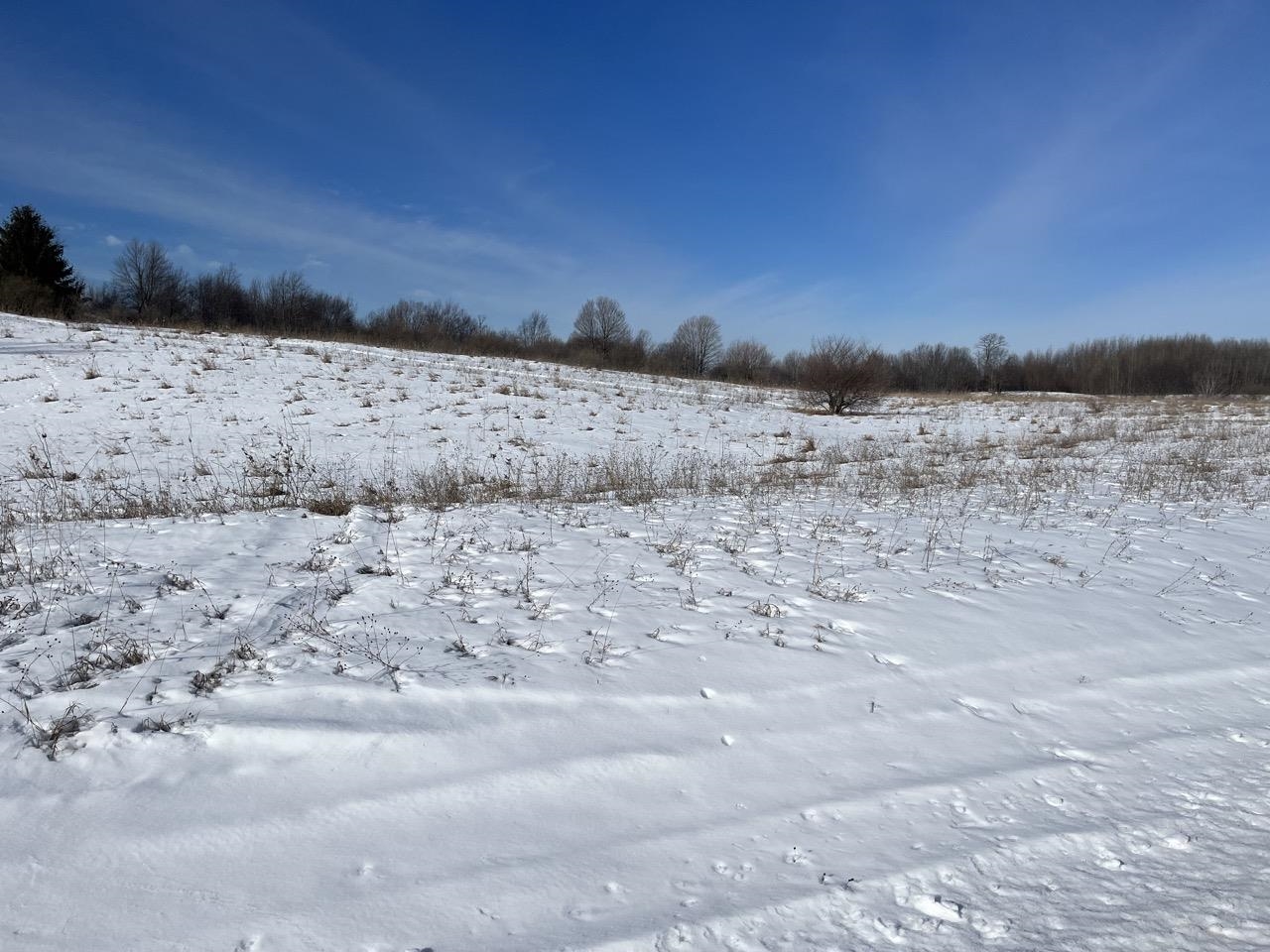 Parcel N Florey's Ranch Road, Unit LOT: N Grawn, MI 49637 - Photo 5 of 10