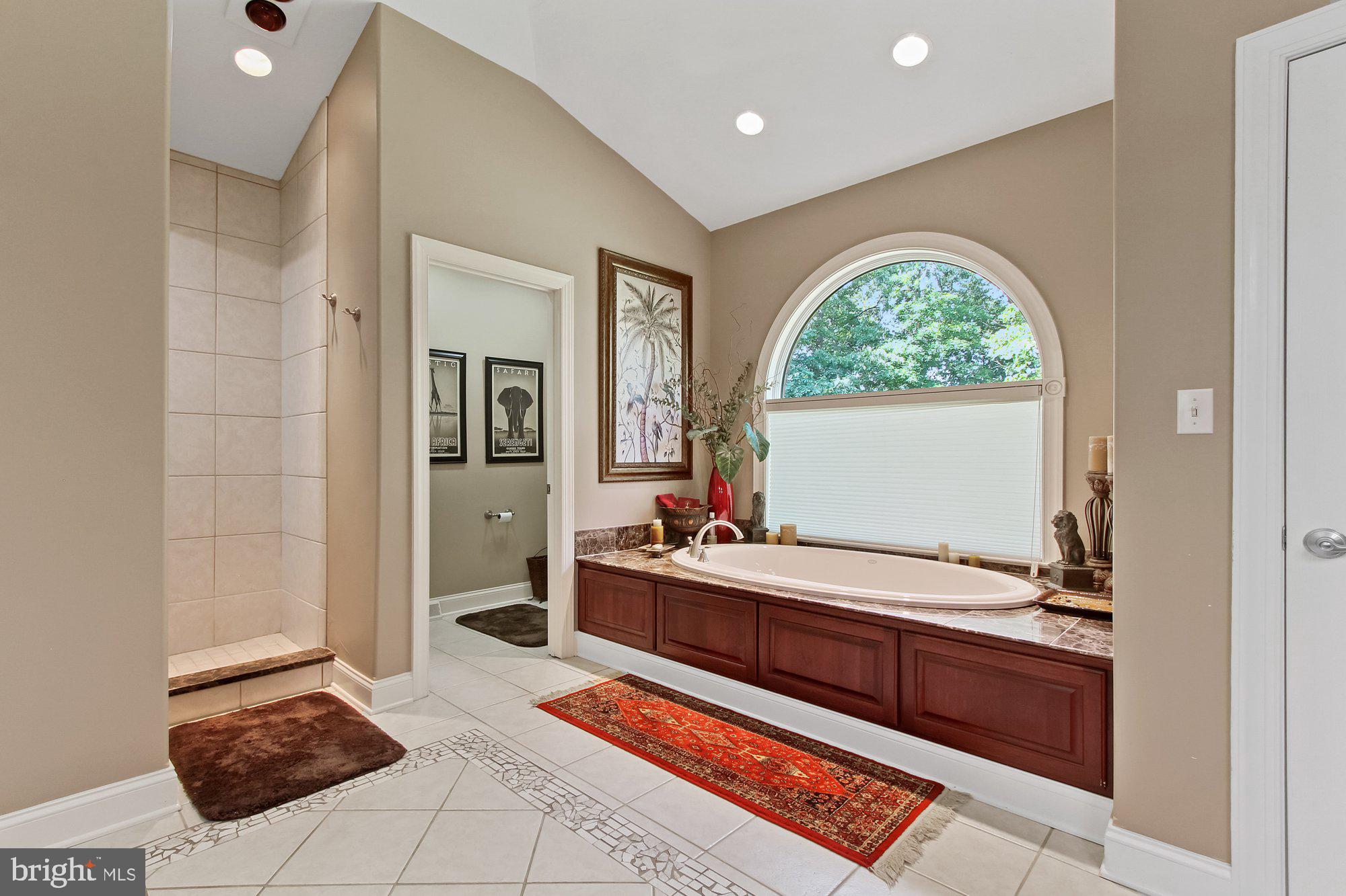 740 Witmer Road York, PA 17402 - Photo 27 of 66 Luxury Primary Bathroom