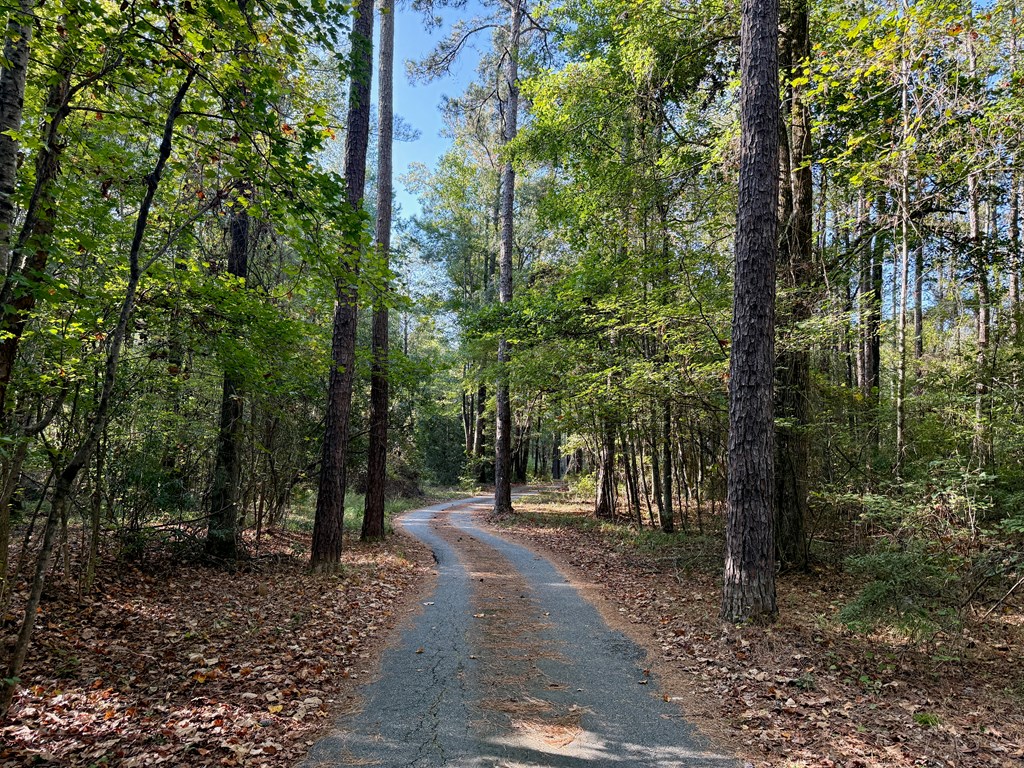 4040 Wooldridge Road Fortson, GA 31808 - Photo 83 of 85 Drive
