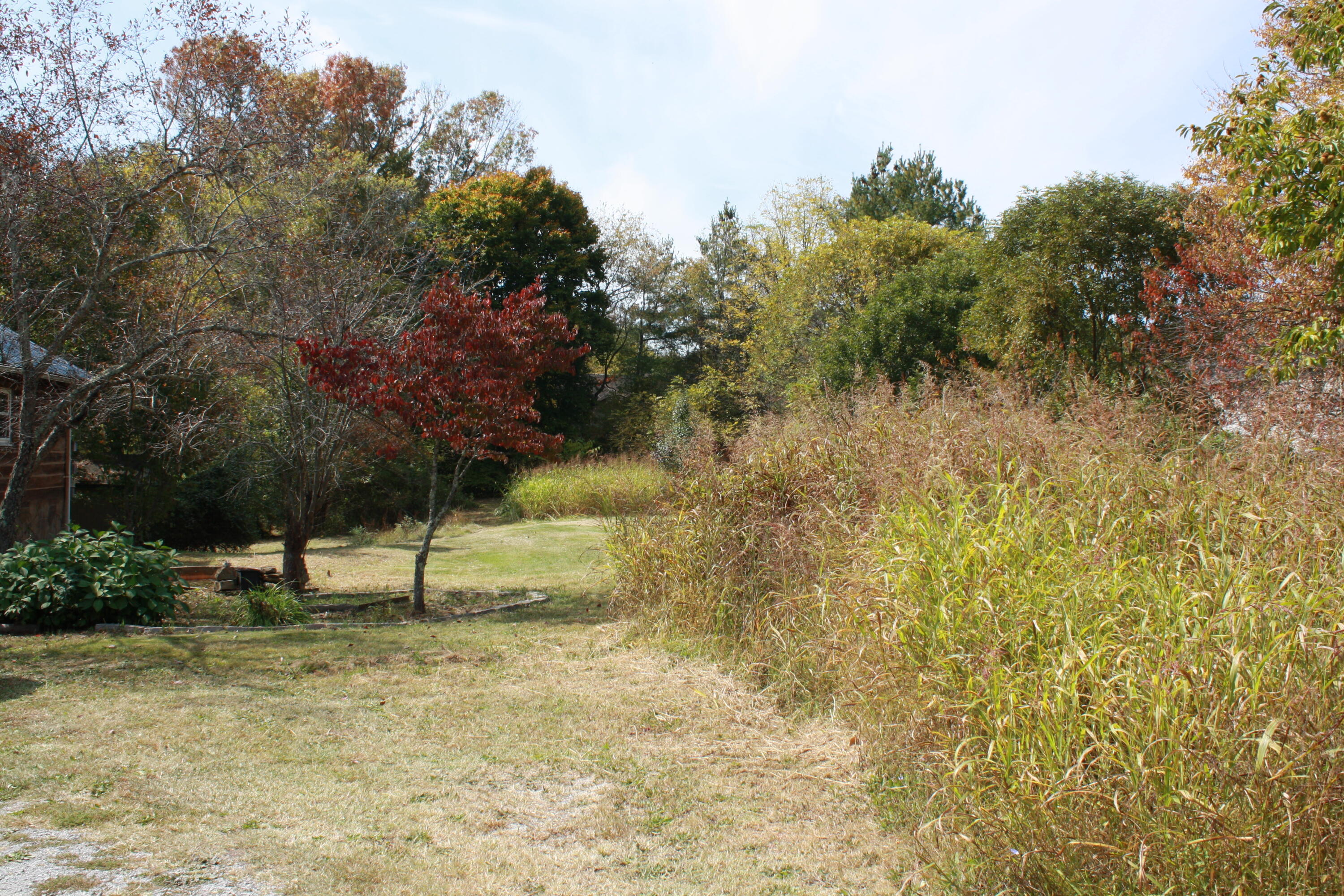 1355 Barbourville Road London, KY 40744 - Photo 13 of 33 IMG_6992
