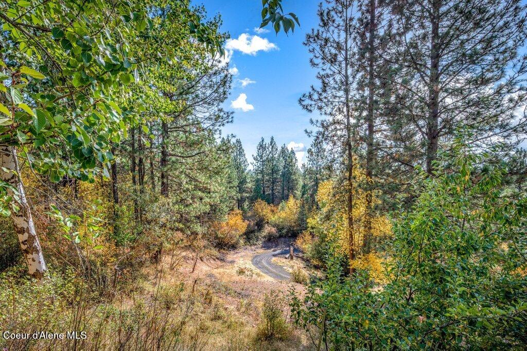 7170 West Reality Loop Coeur D'Alene, ID 83814 - Photo 41 of 44 Driveway