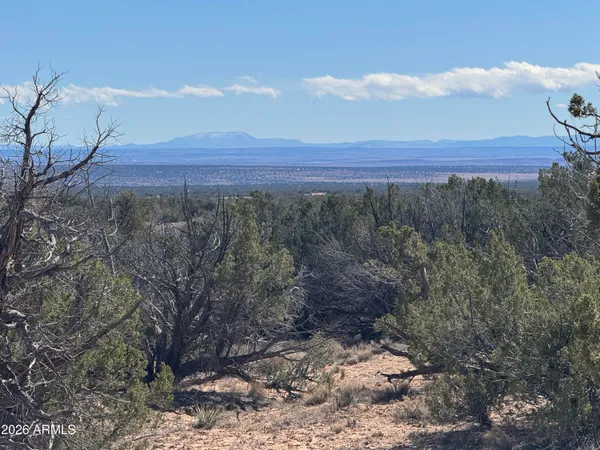 a view of a backyard of a house