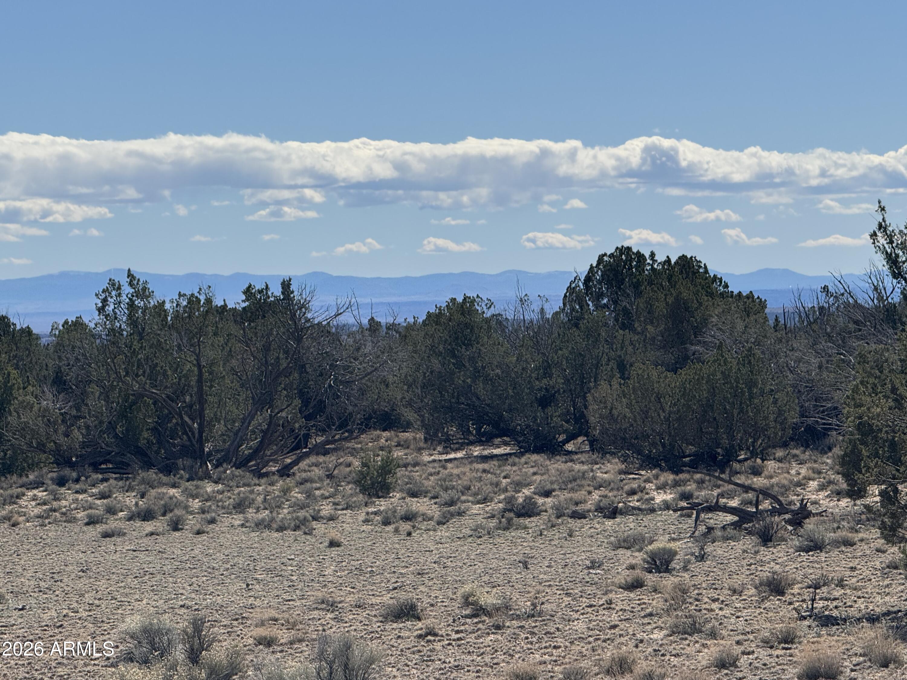 Lot 75 Red Sky Ranch, Unit 75 St. Johns, AZ 85936 - Photo 12 of 24 a view of a yard