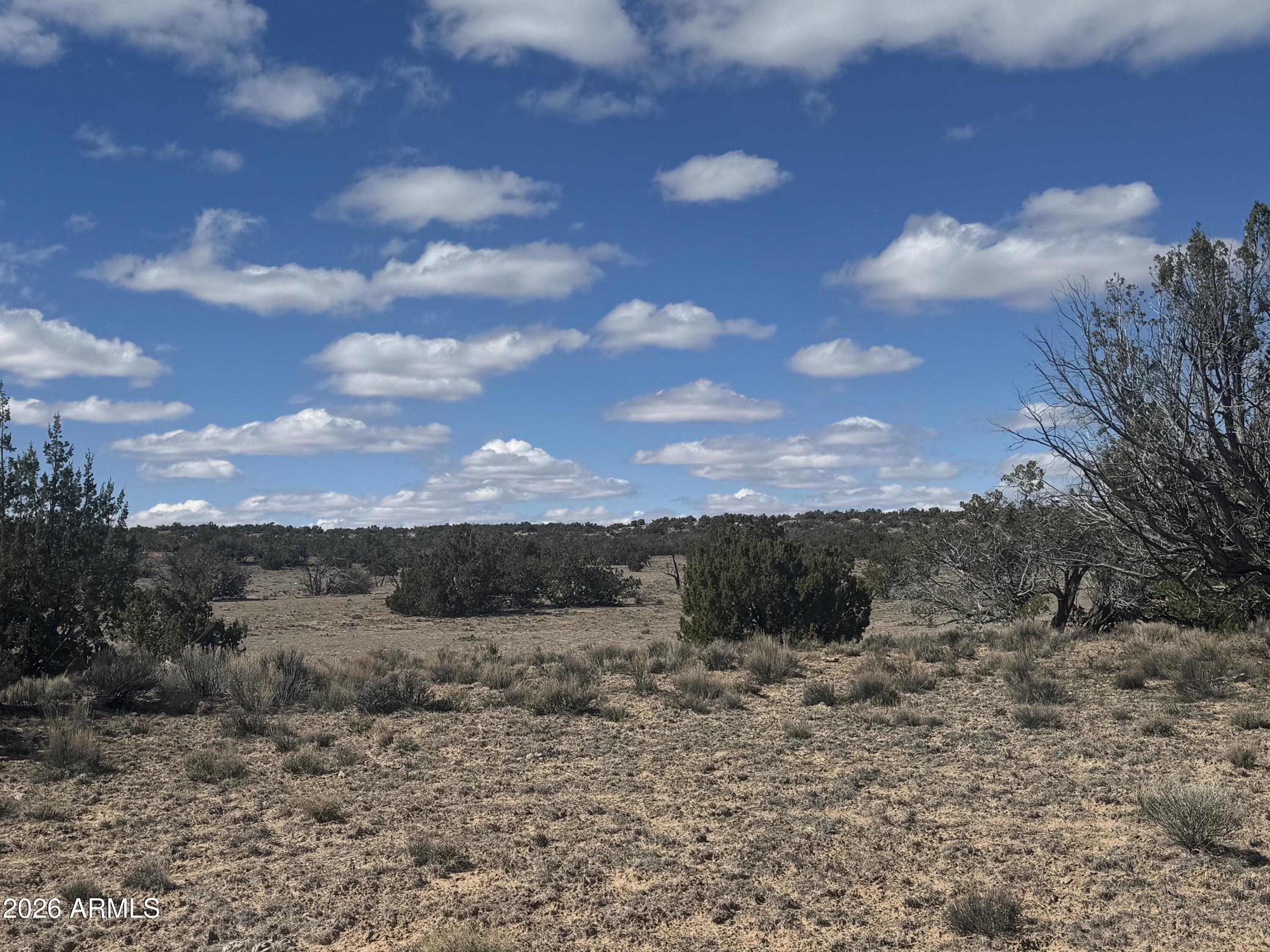 Lot 75 Red Sky Ranch, Unit 75 St. Johns, AZ 85936 - Photo 13 of 24 a view of a yard