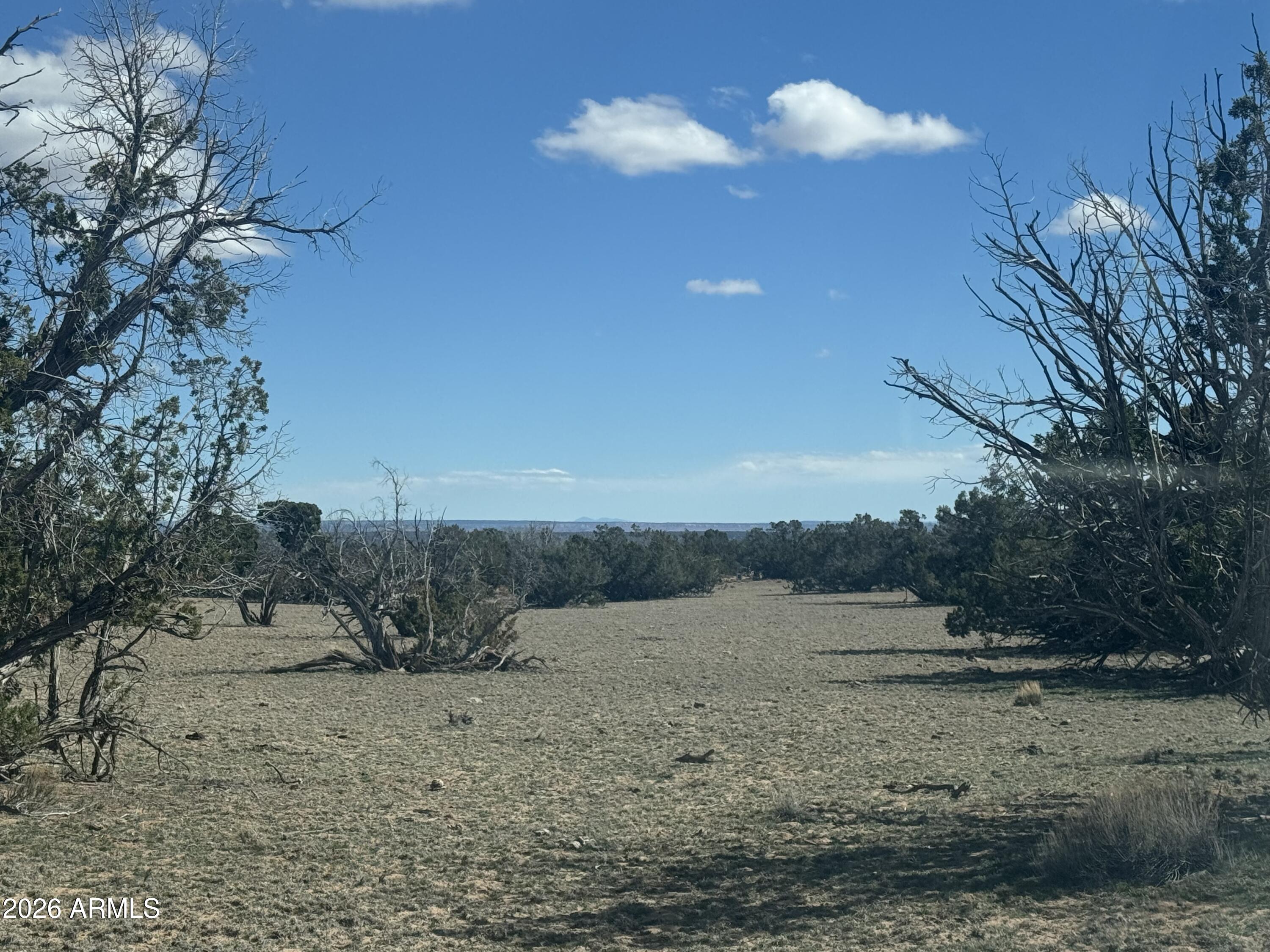 Lot 75 Red Sky Ranch, Unit 75 St. Johns, AZ 85936 - Photo 14 of 24 a view of a yard with a tree
