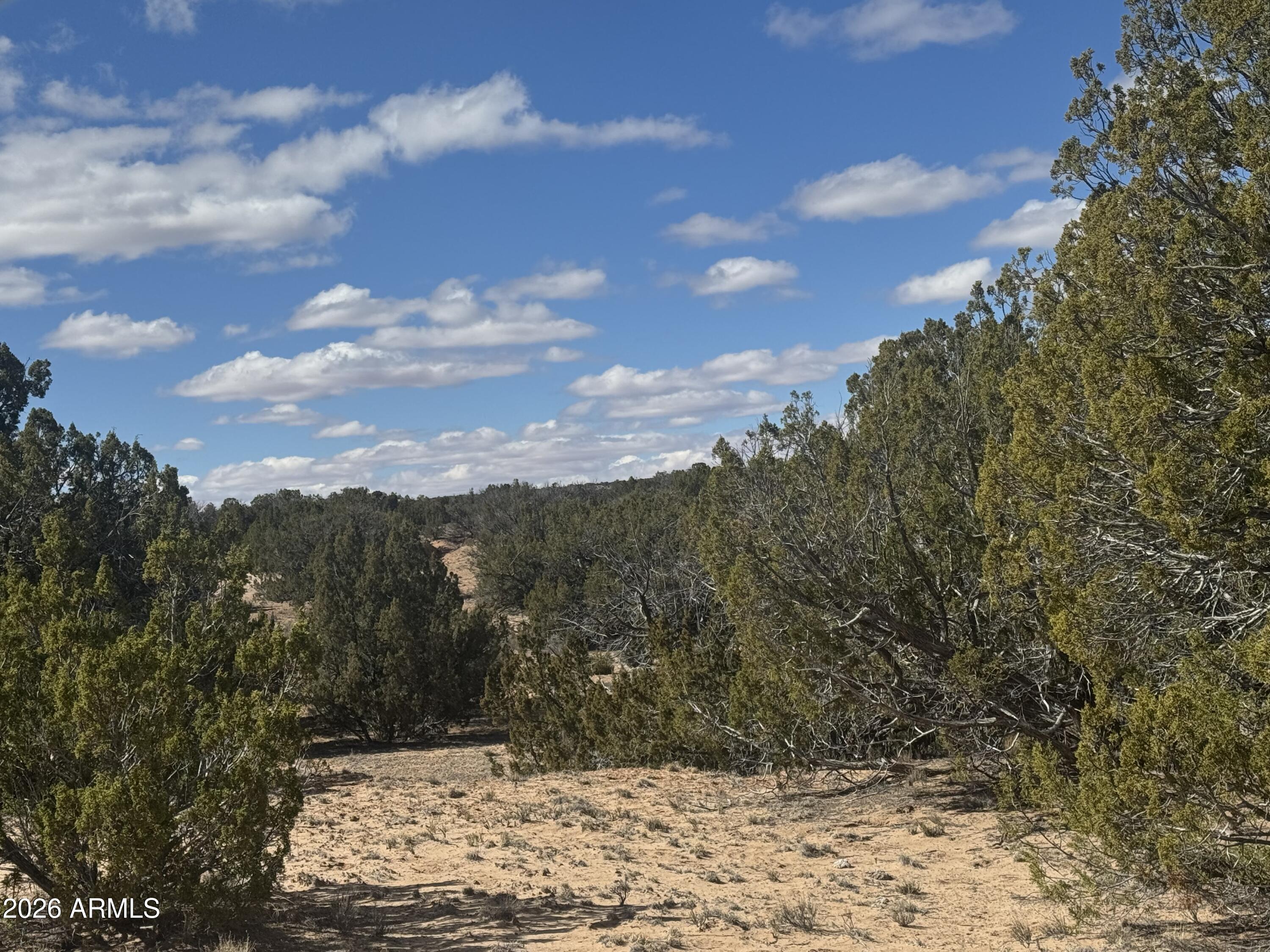 Lot 75 Red Sky Ranch, Unit 75 St. Johns, AZ 85936 - Photo 15 of 24 a view of outdoor space with mountain view