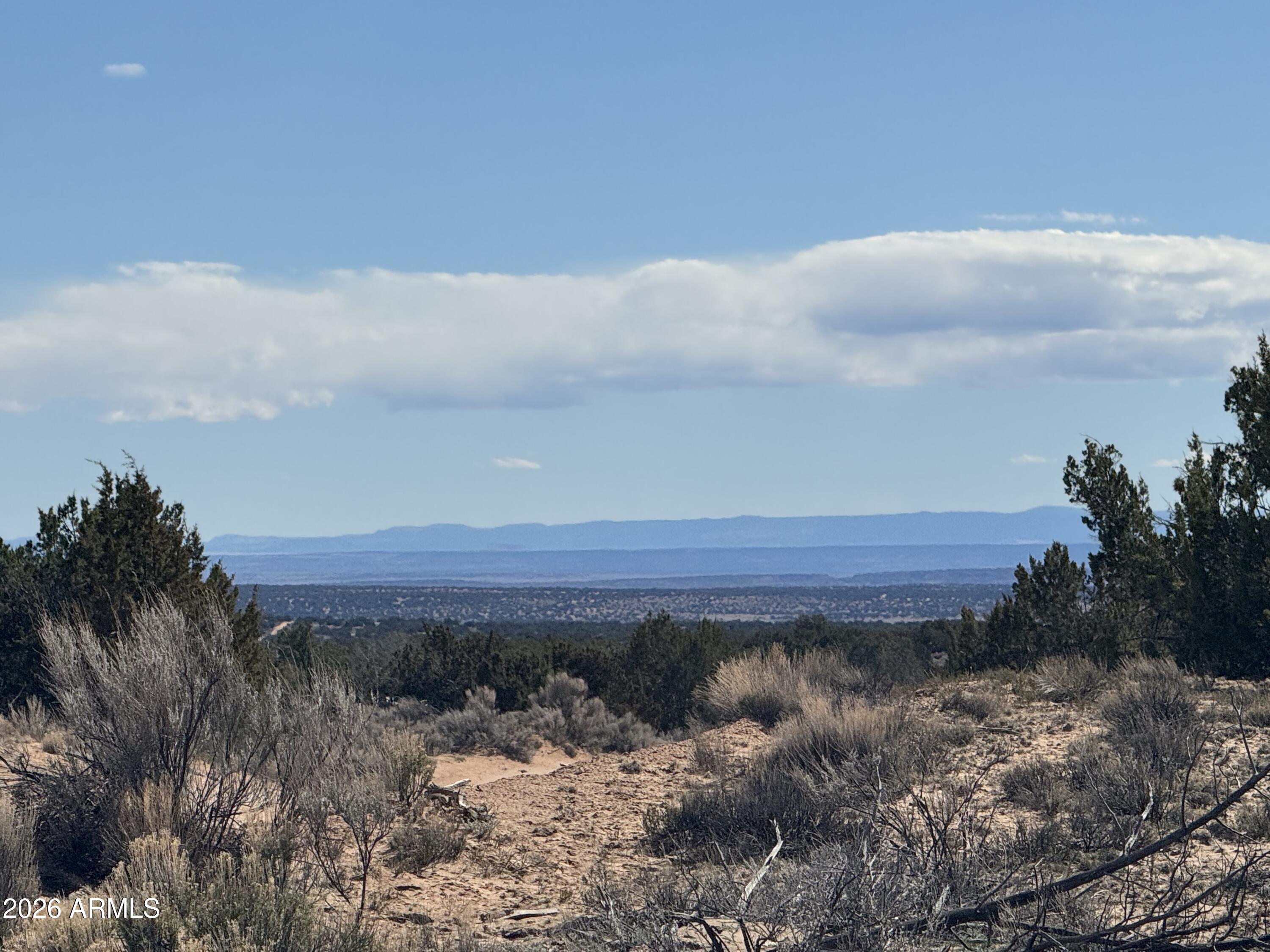 Lot 75 Red Sky Ranch, Unit 75 St. Johns, AZ 85936 - Photo 16 of 24 a view of a yard with wooden fence
