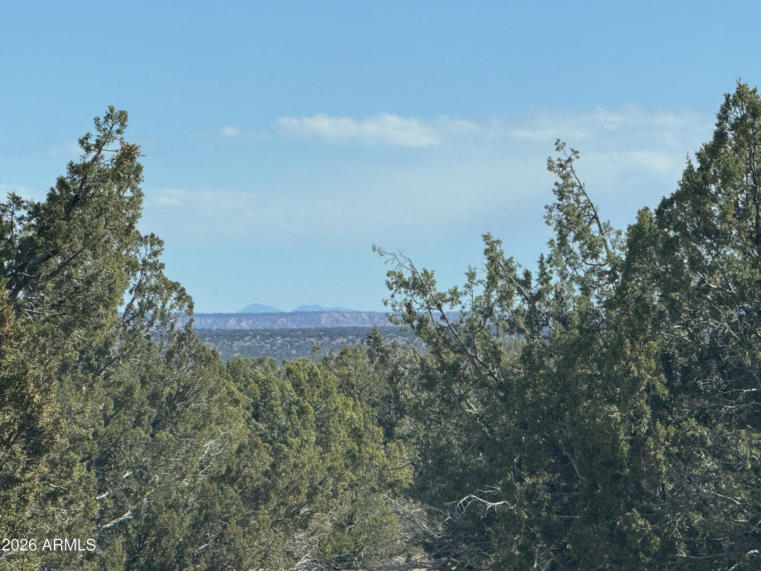 Lot 75 Red Sky Ranch, Unit 75 St. Johns, AZ 85936 - Photo 17 of 24 a view of a city with lush green forest