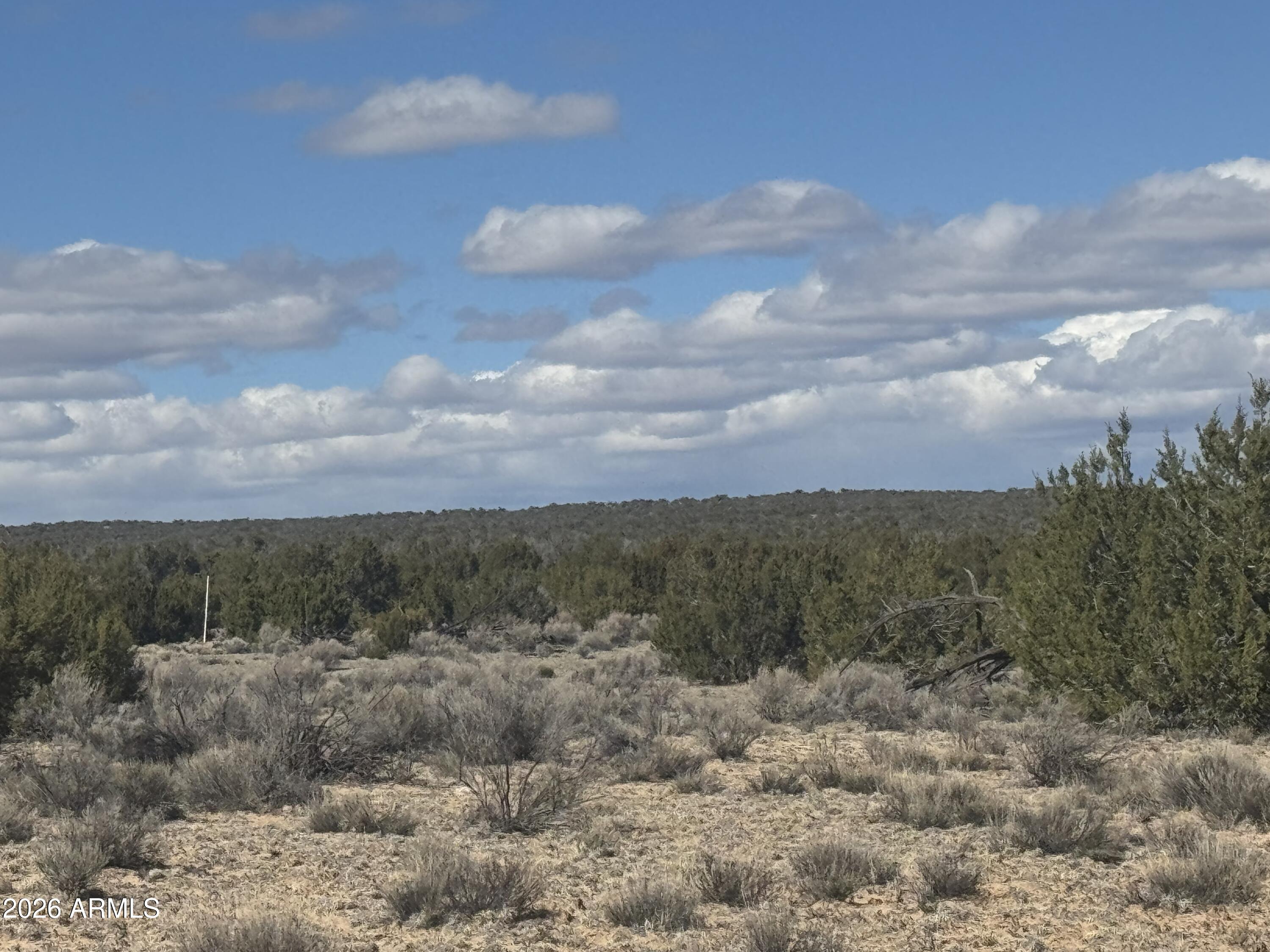 Lot 75 Red Sky Ranch, Unit 75 St. Johns, AZ 85936 - Photo 18 of 24 a view of a dry yard with trees