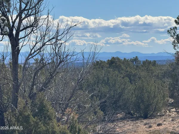 a view of a yard with mountain view