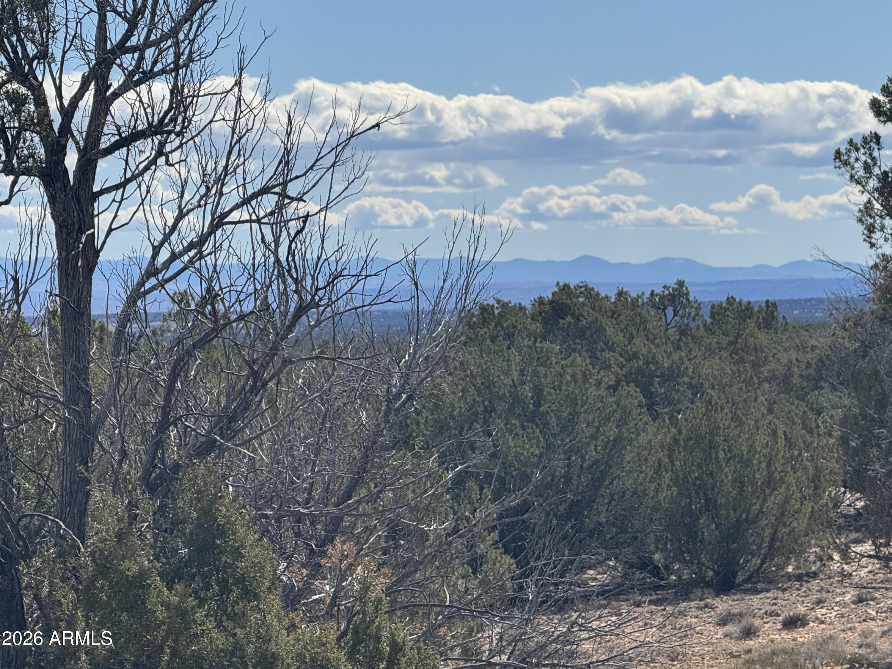 Lot 75 Red Sky Ranch, Unit 75 St. Johns, AZ 85936 - Photo 19 of 24 a view of a dry yard with trees in the background