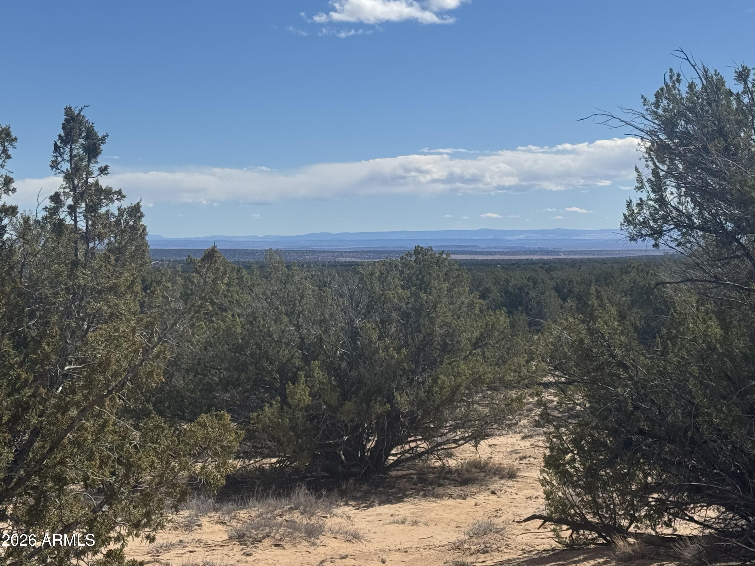 Lot 75 Red Sky Ranch, Unit 75 St. Johns, AZ 85936 - Photo 20 of 24 a view of a yard with mountain view