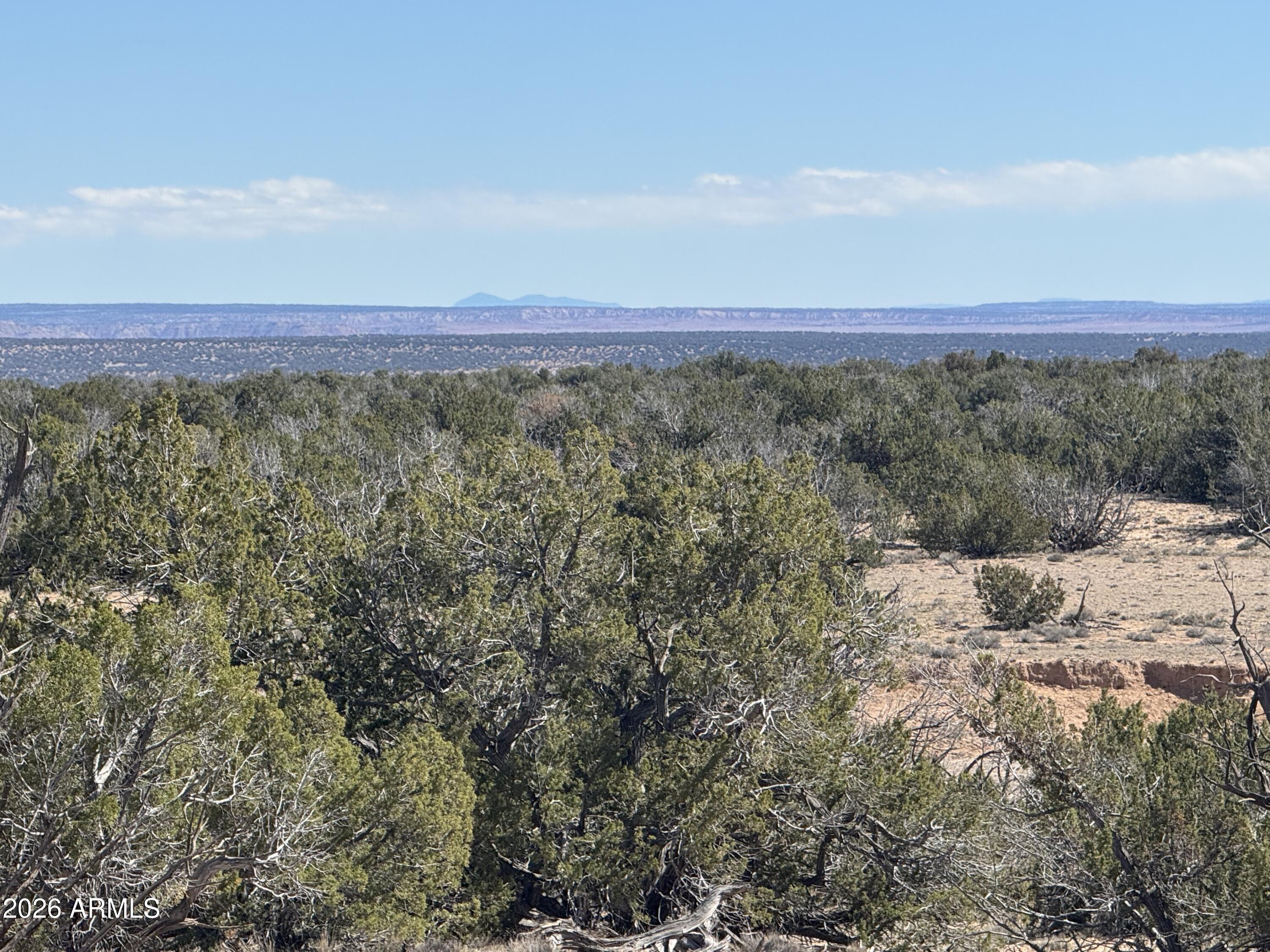 Lot 75 Red Sky Ranch, Unit 75 St. Johns, AZ 85936 - Photo 2 of 24 a view of a forest