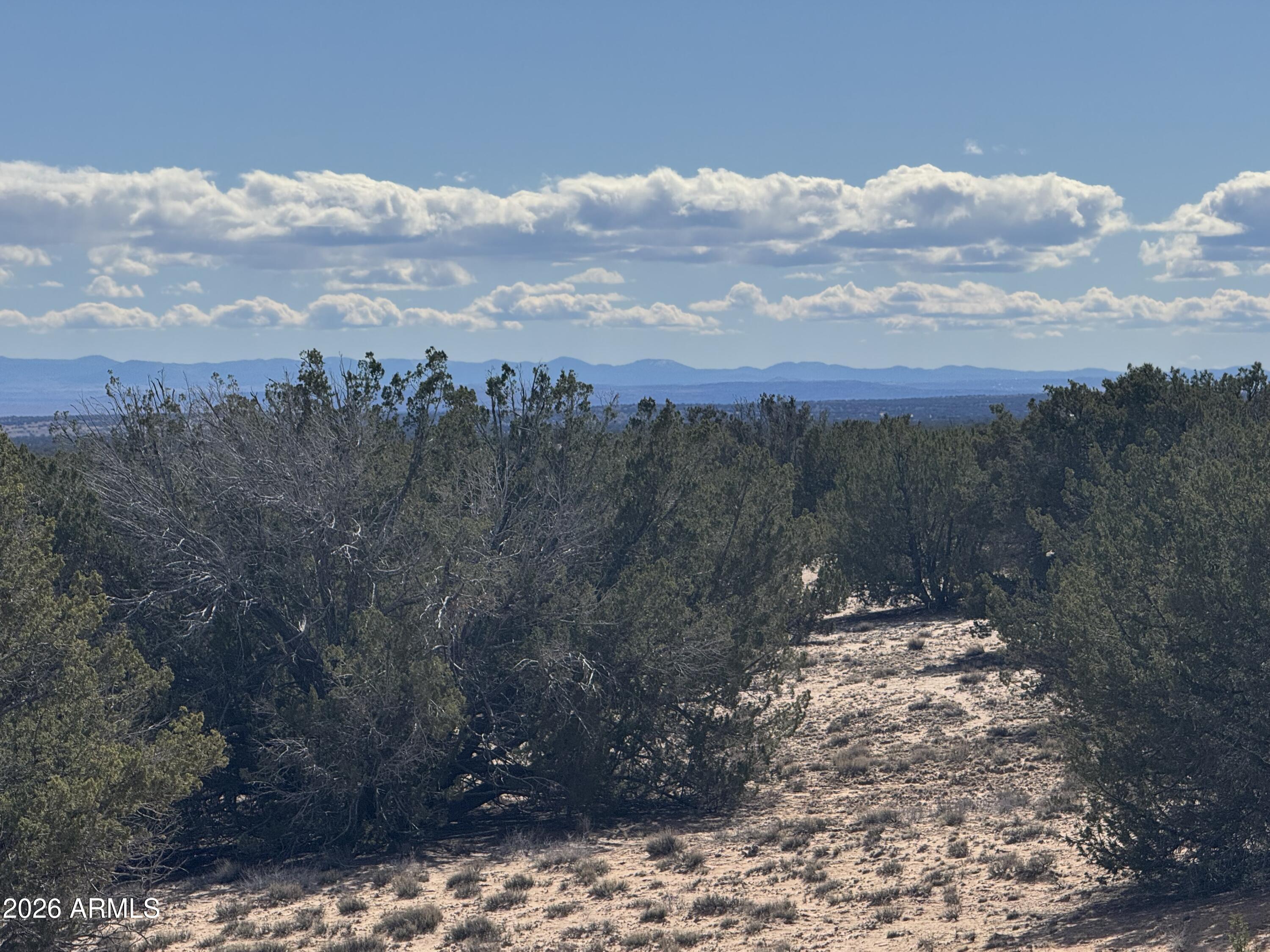 Lot 75 Red Sky Ranch, Unit 75 St. Johns, AZ 85936 - Photo 21 of 24 a view of a yard with mountains in the background