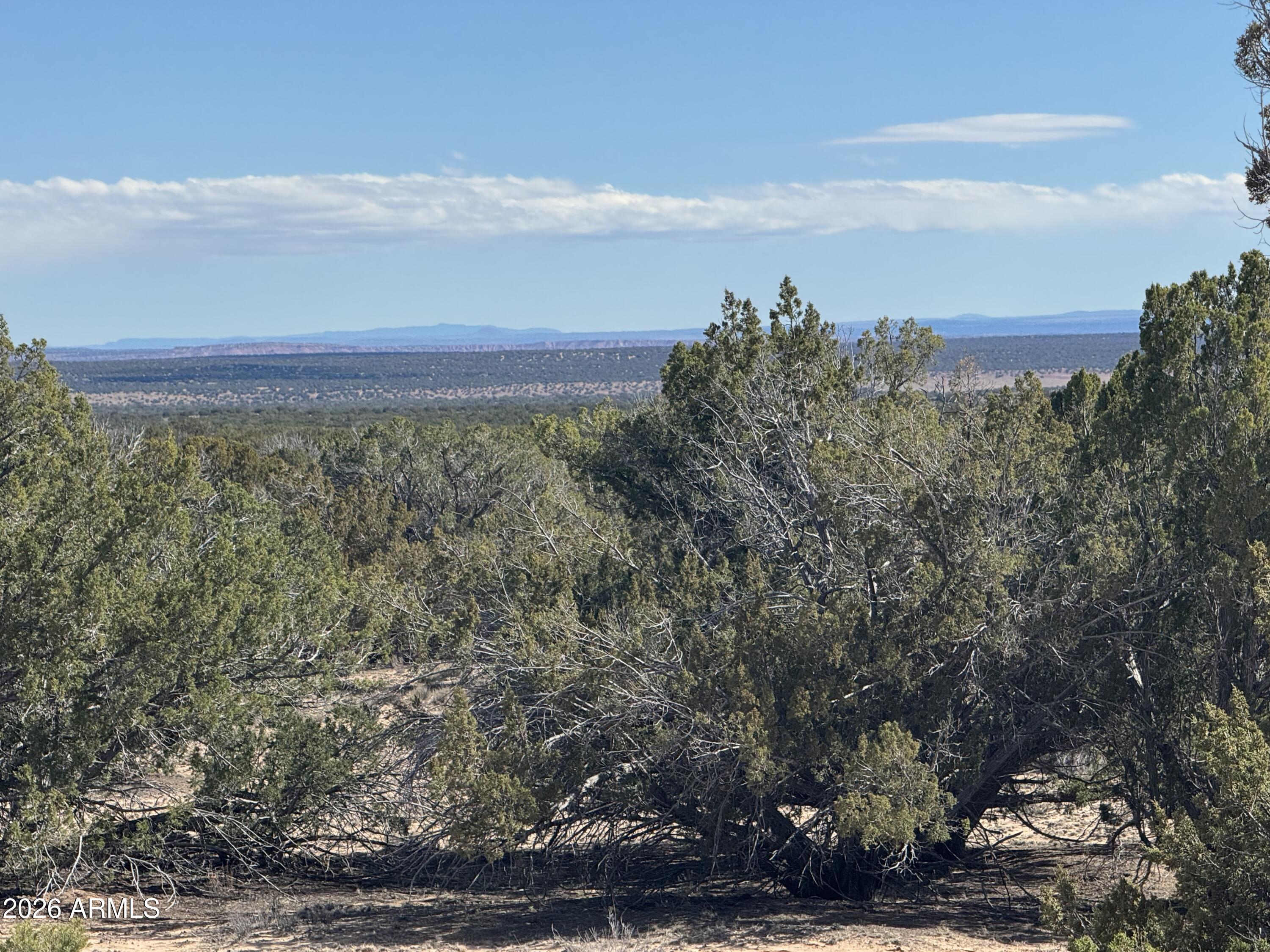 Lot 75 Red Sky Ranch, Unit 75 St. Johns, AZ 85936 - Photo 22 of 24 a view of a yard with an ocean