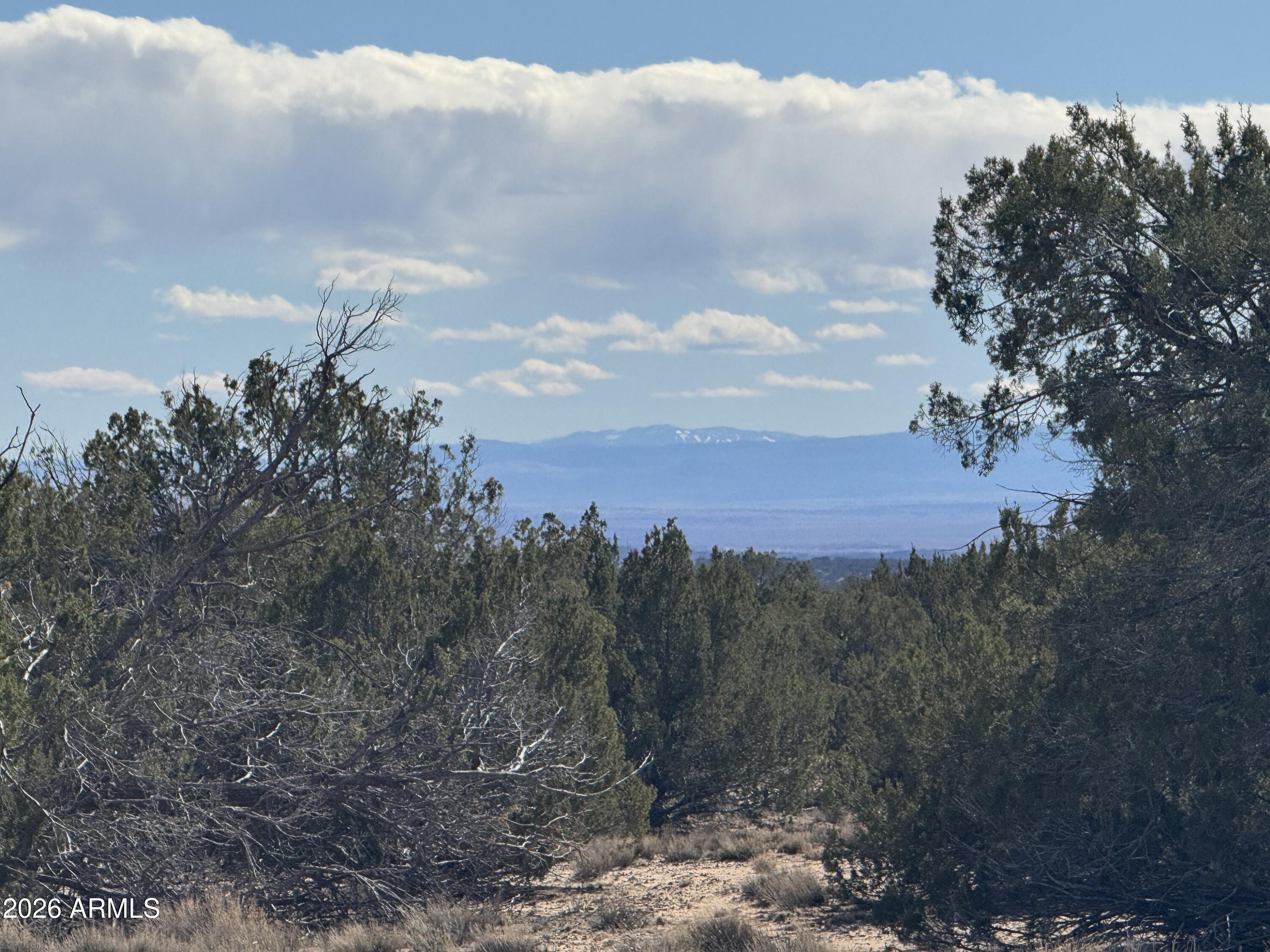 Lot 75 Red Sky Ranch, Unit 75 St. Johns, AZ 85936 - Photo 23 of 24 a view of a sky