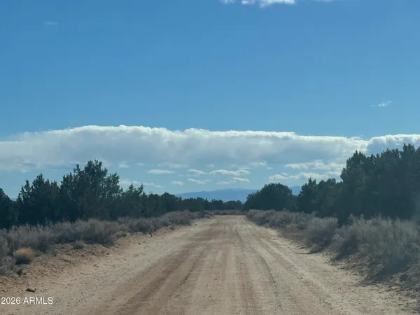 $48,900 | Lot 75 Red Sky Ranch, Unit 75, St. Johns, AZ 85936