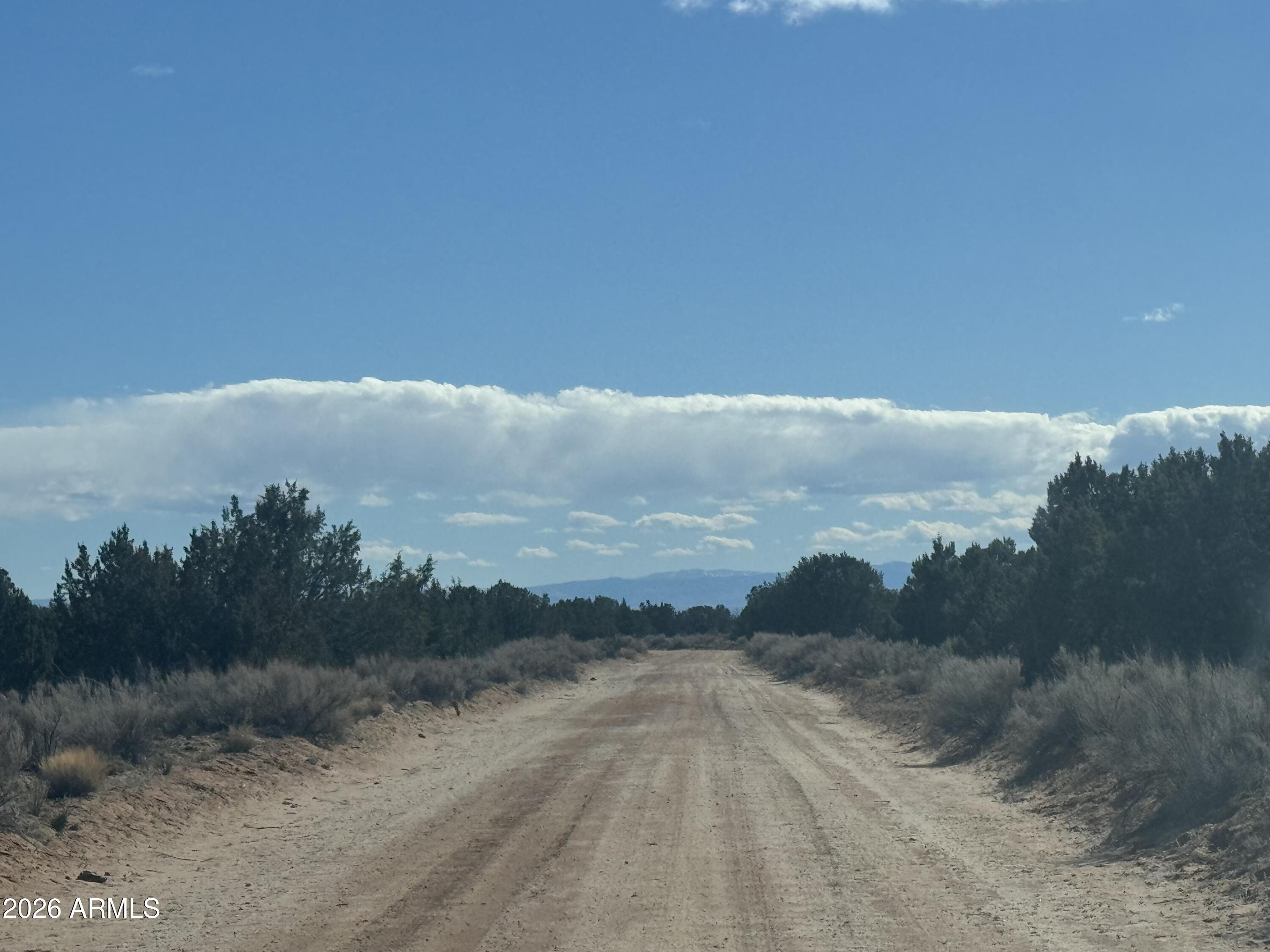 Lot 75 Red Sky Ranch, Unit 75 St. Johns, AZ 85936 - Photo 24 of 24 a view of a lake in middle of forest