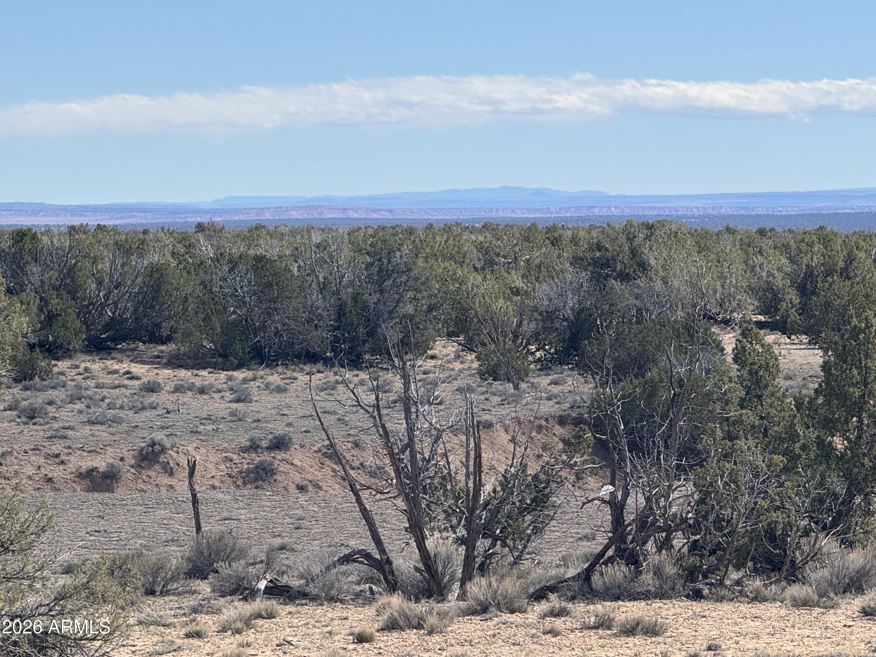 Lot 75 Red Sky Ranch, Unit 75 St. Johns, AZ 85936 - Photo 3 of 24 a view of a yard with a mountain