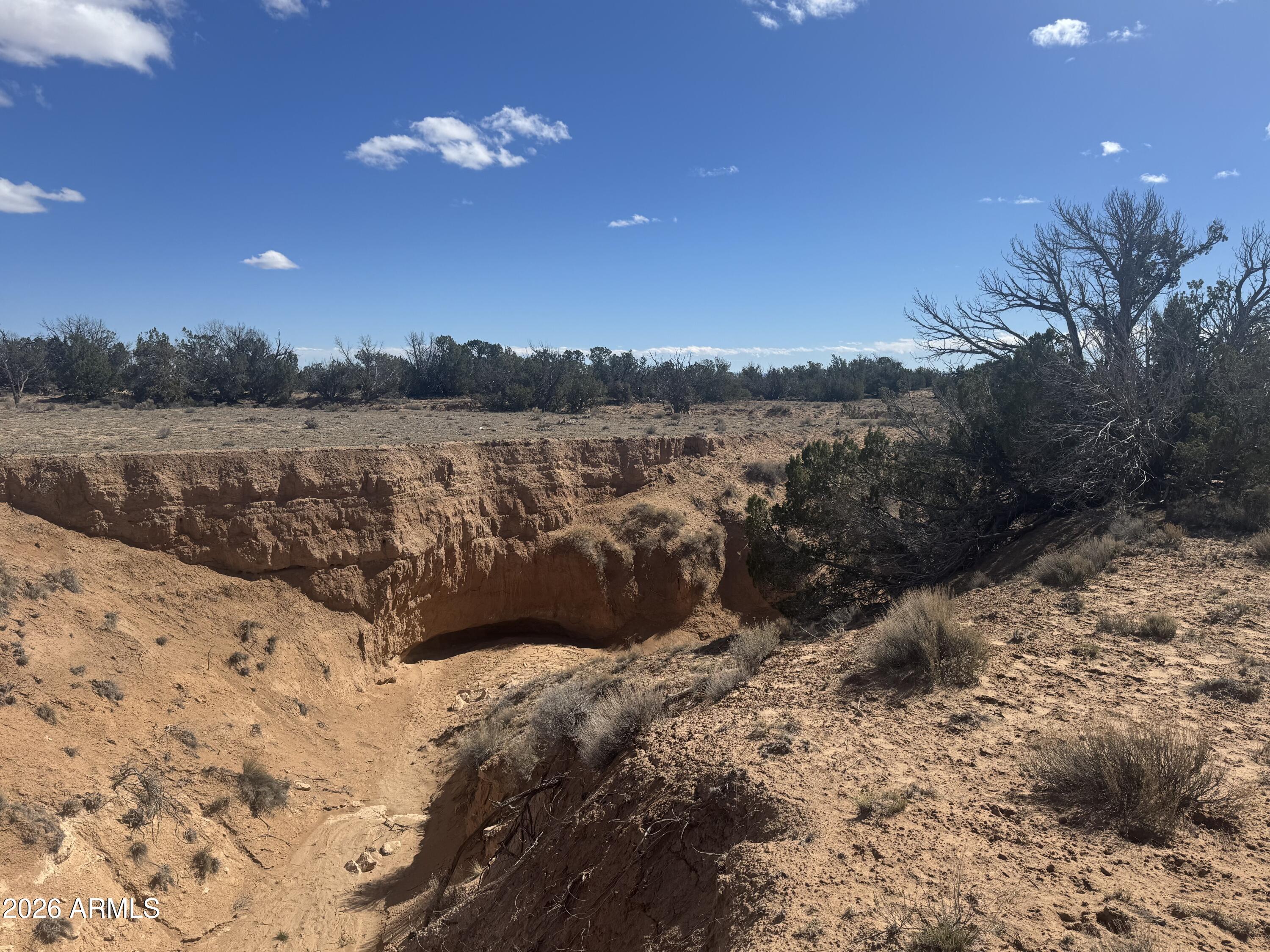 Lot 75 Red Sky Ranch, Unit 75 St. Johns, AZ 85936 - Photo 5 of 24 a view of lake