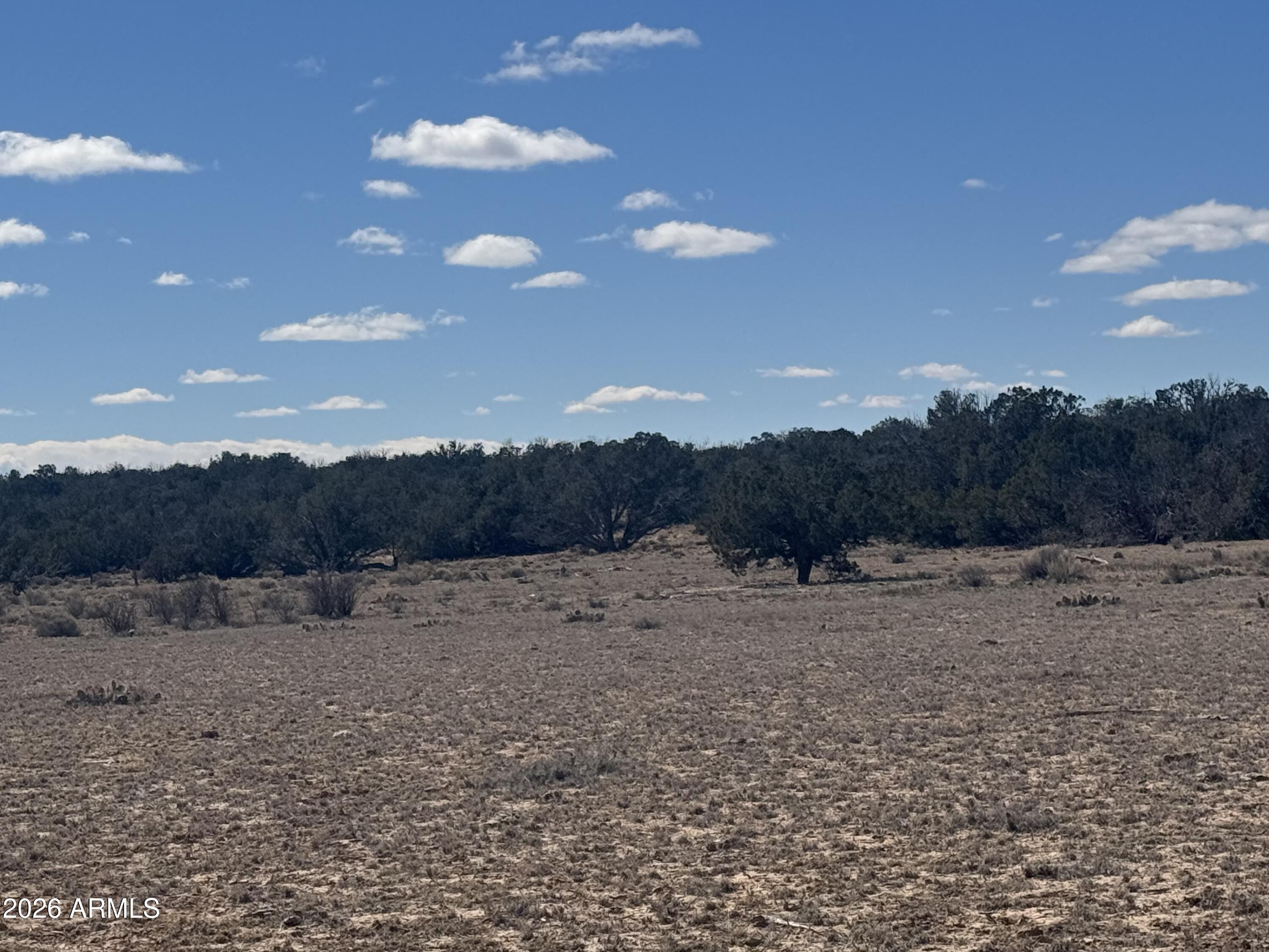 Lot 75 Red Sky Ranch, Unit 75 St. Johns, AZ 85936 - Photo 8 of 24 a view of an outdoor space and a yard