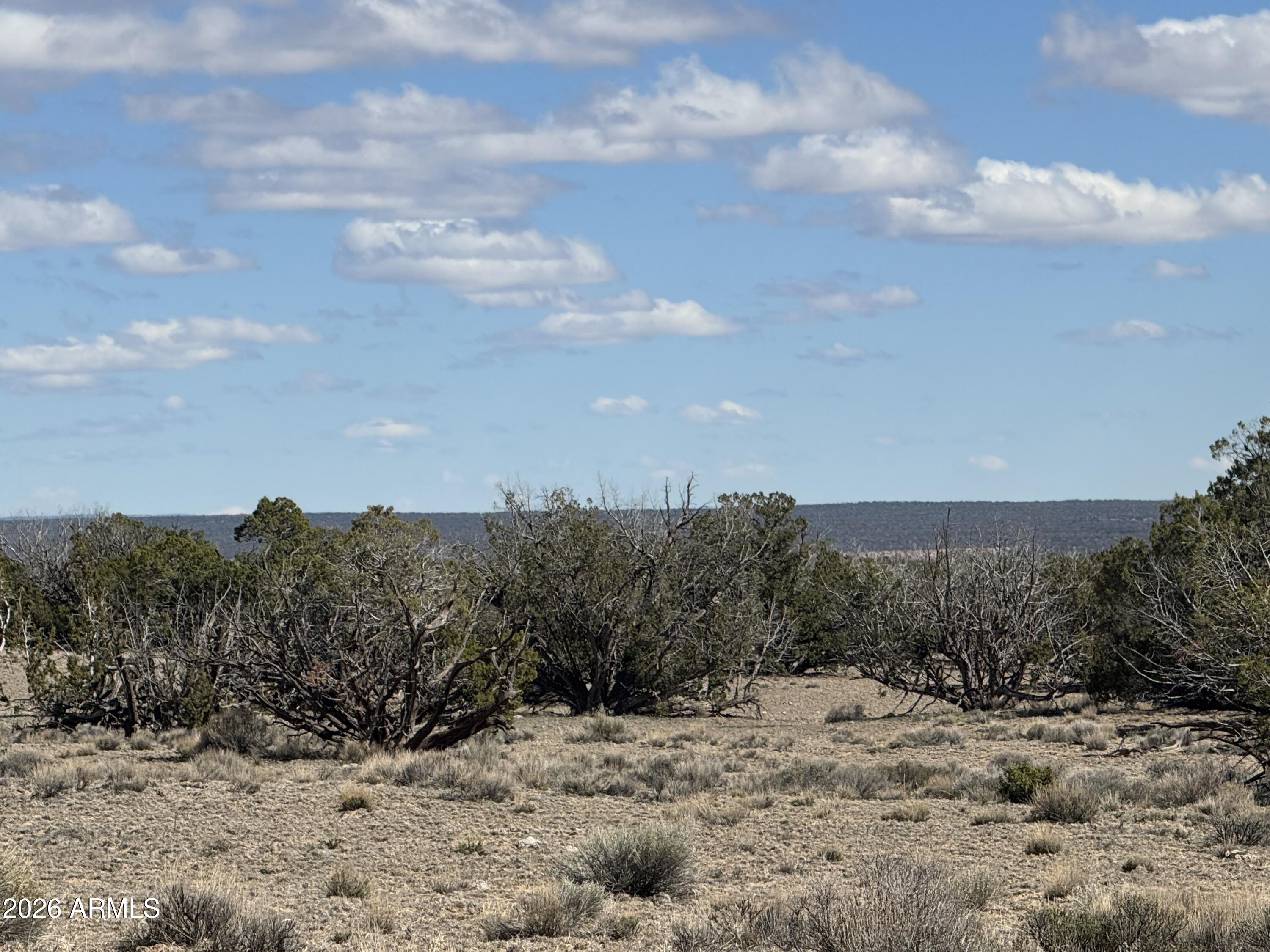 Lot 75 Red Sky Ranch, Unit 75 St. Johns, AZ 85936 - Photo 10 of 24 a view of a dry yard