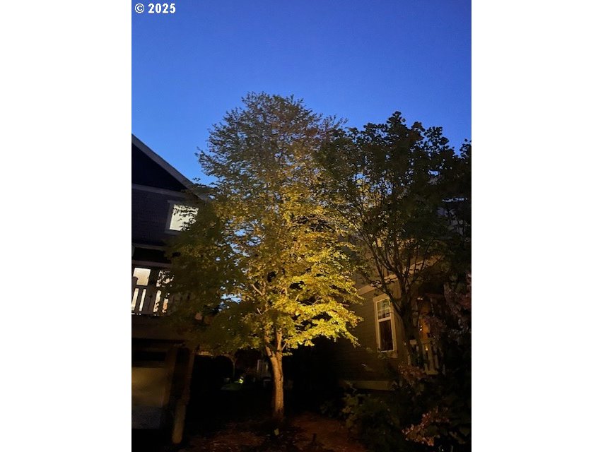 8250 Southwest Indigo Terrace Beaverton, OR 97007 - Photo 45 of 46 a picture of a tree in a backyard of a house