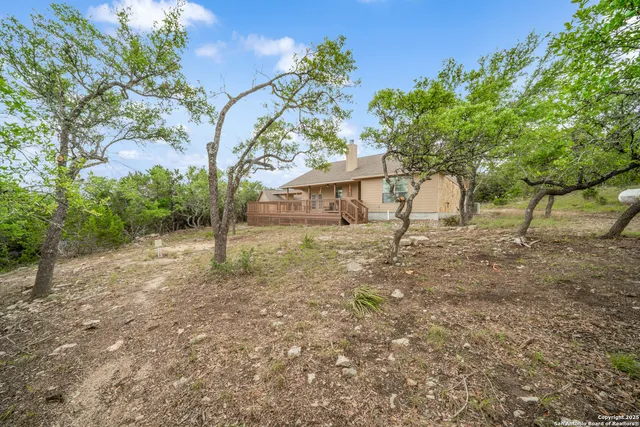 a view of a backyard with a tree