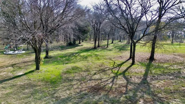 a view of backyard with tree