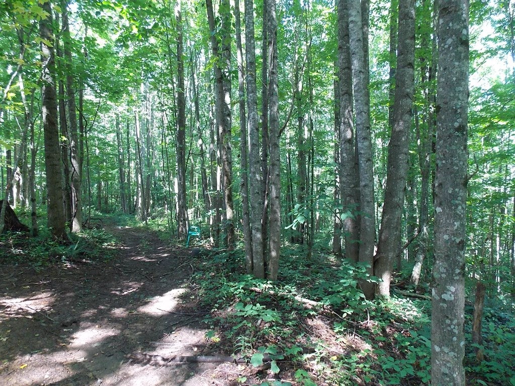 Tbd Dugspur Road Dugspur, VA 24325 - Photo 16 of 19 Gallery Image 16