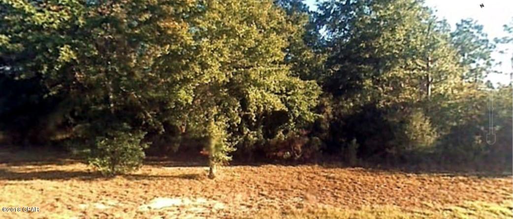 5000-block Grassy Pond Road Chipley, FL 32428 - Photo 4 of 6 Gallery Image 4