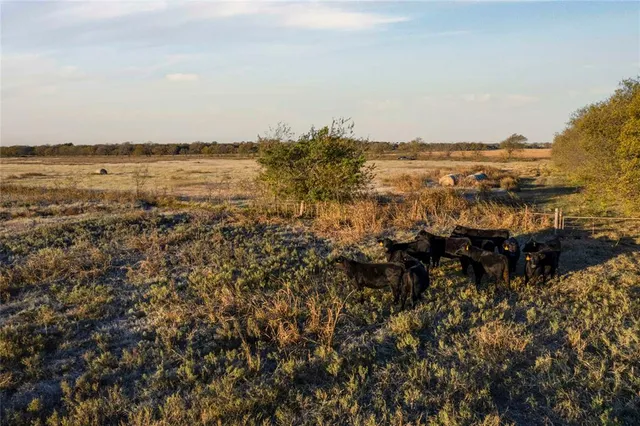 a view of lake and mountain