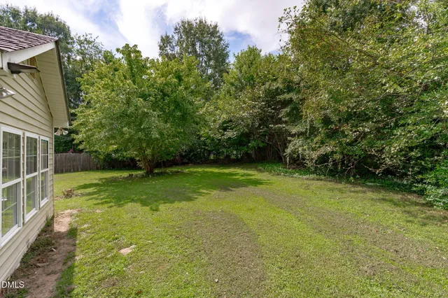 a view of a backyard with a plants and large tree