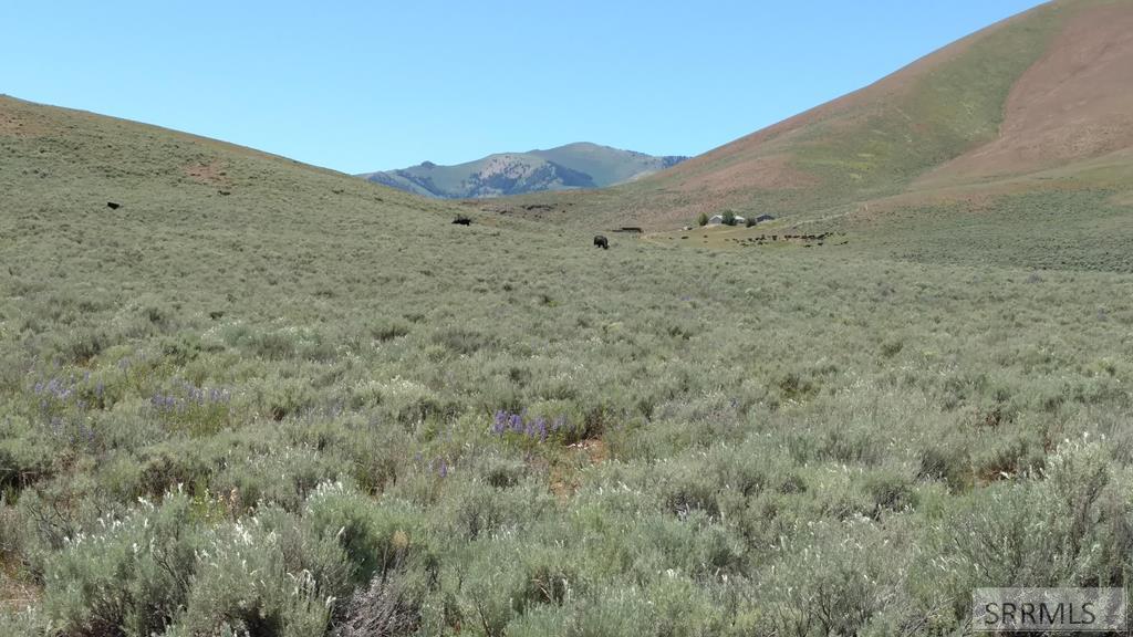 1981 Blizzard Mountain Road Arco, ID 83213 - Photo 34 of 38